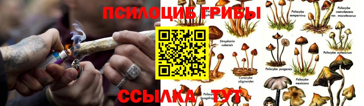 Псилоцибиновые грибы MAGIC MUSHROOMS Нефтекумск