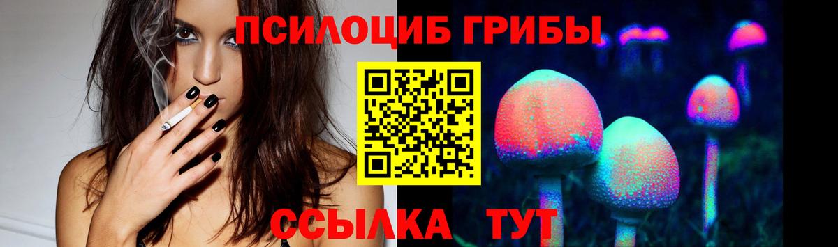 Нефтекумск  Галлюциногенные грибы Psilocybe  Галлюциногенные грибы мицелий  Вход с VPN 